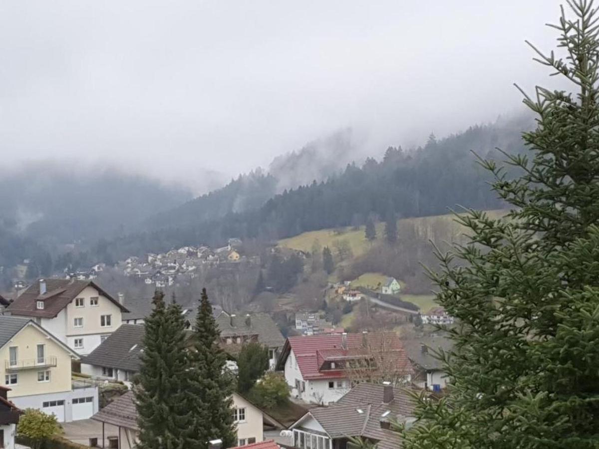 Ferienwohnung Kussmaul Alpirsbach Luaran gambar