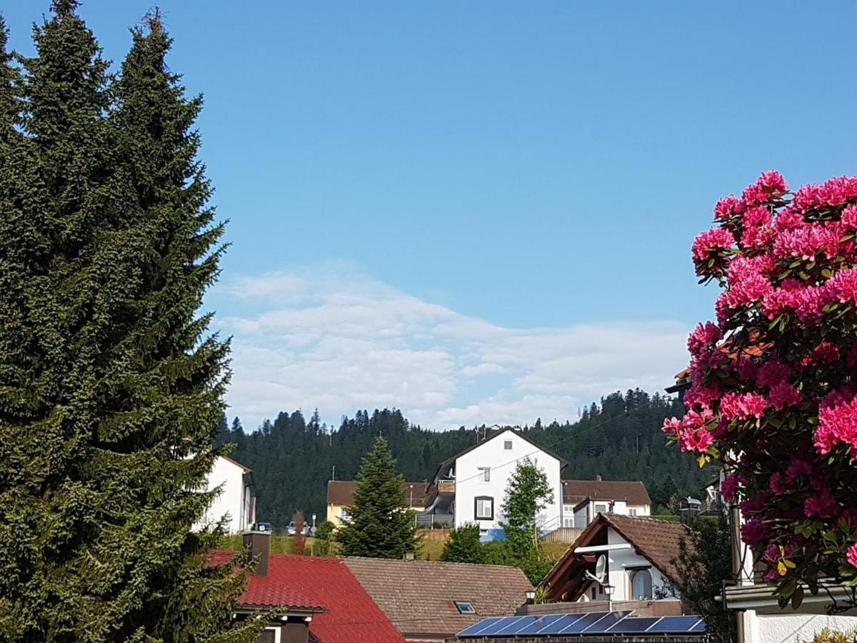 Ferienwohnung Kussmaul Alpirsbach Luaran gambar